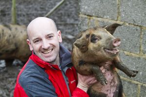 pig farm image 2 sm.jpg